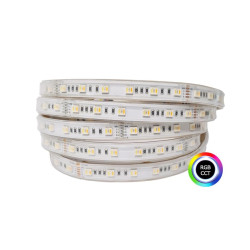 Tira LED 12V 19,20W RGBCCT IP67