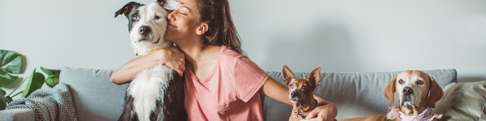 Mascotas sobre el sofa con su dueña dándoles cariño