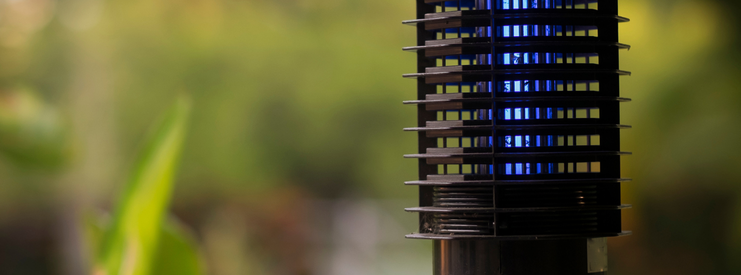 ¿Es verdad que la luz LED no atrae insectos? Mitos, matices y curiosidades